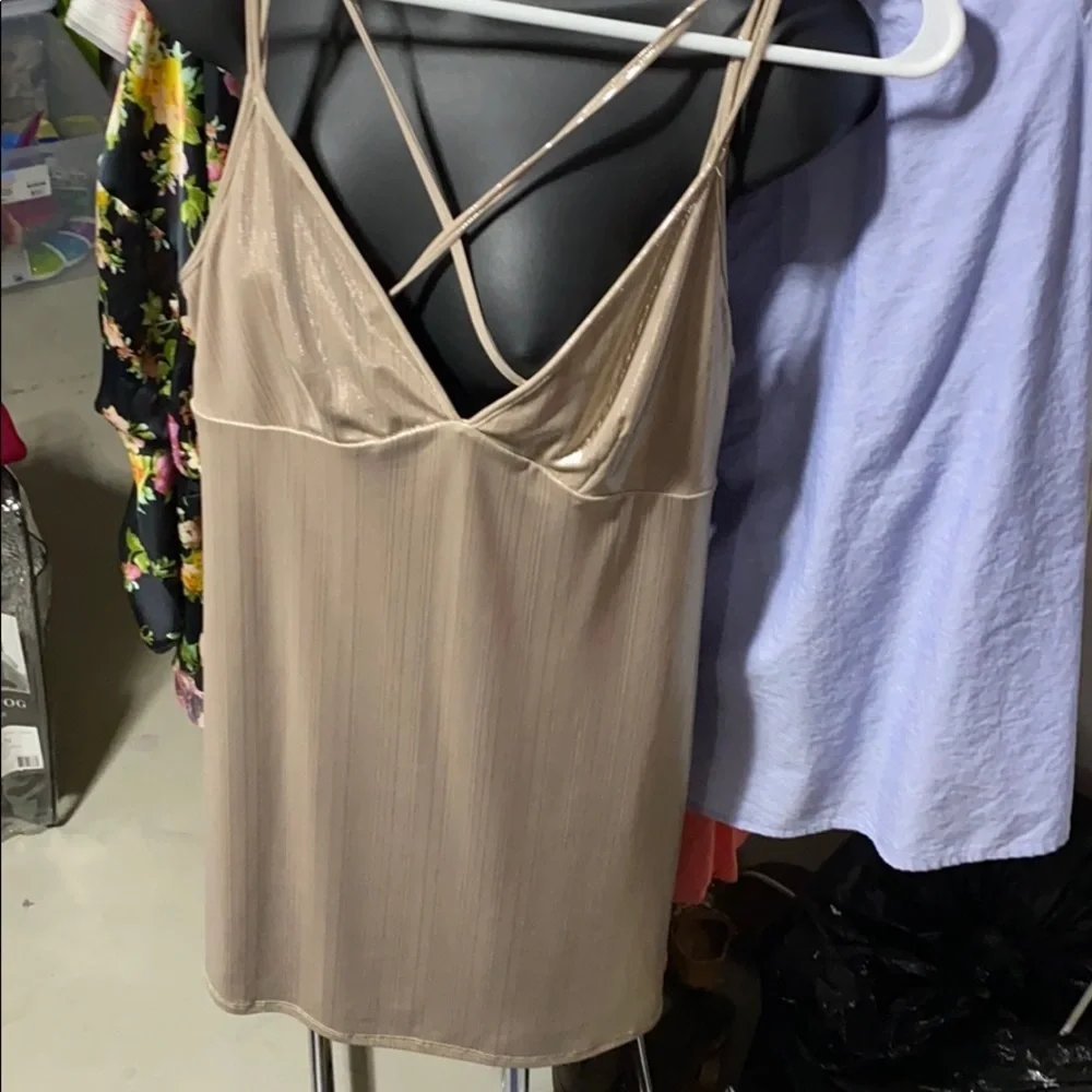 Champagne Bebe Slip Dress